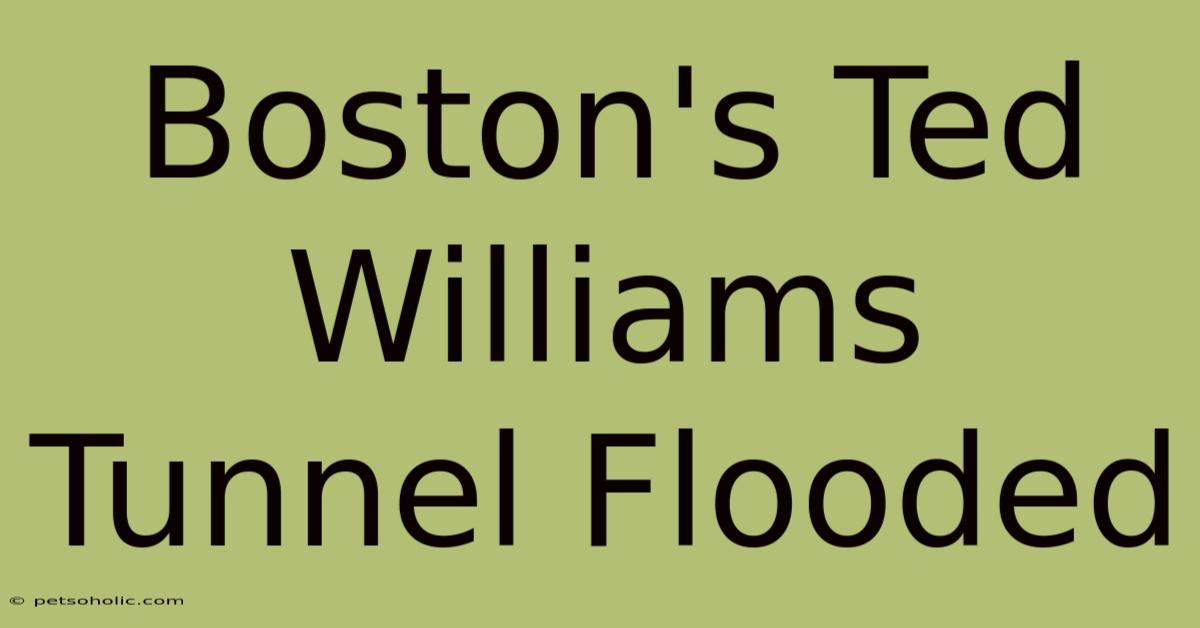 Boston's Ted Williams Tunnel Flooded