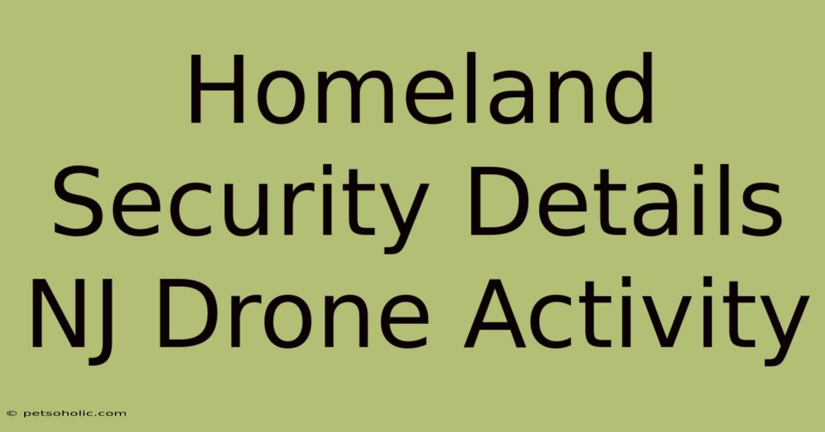 Homeland Security Details NJ Drone Activity