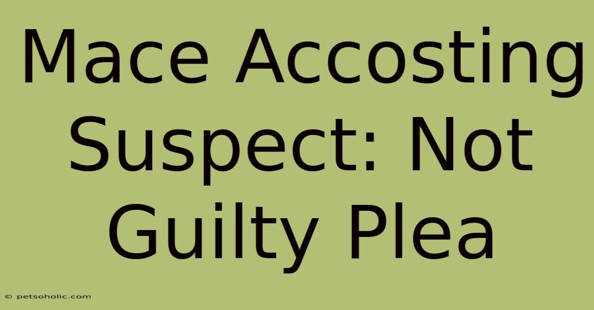 Mace Accosting Suspect: Not Guilty Plea