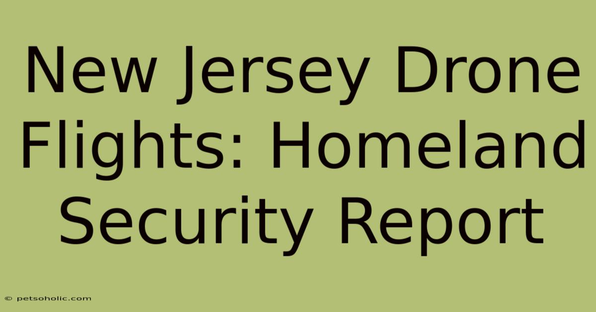 New Jersey Drone Flights: Homeland Security Report