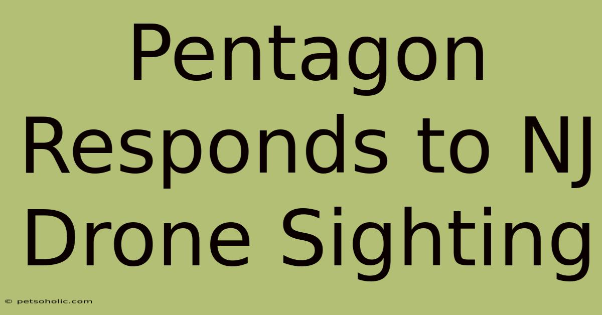 Pentagon Responds To NJ Drone Sighting