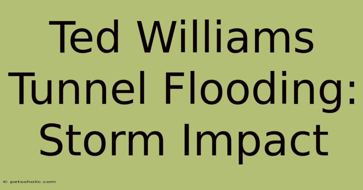 Ted Williams Tunnel Flooding: Storm Impact