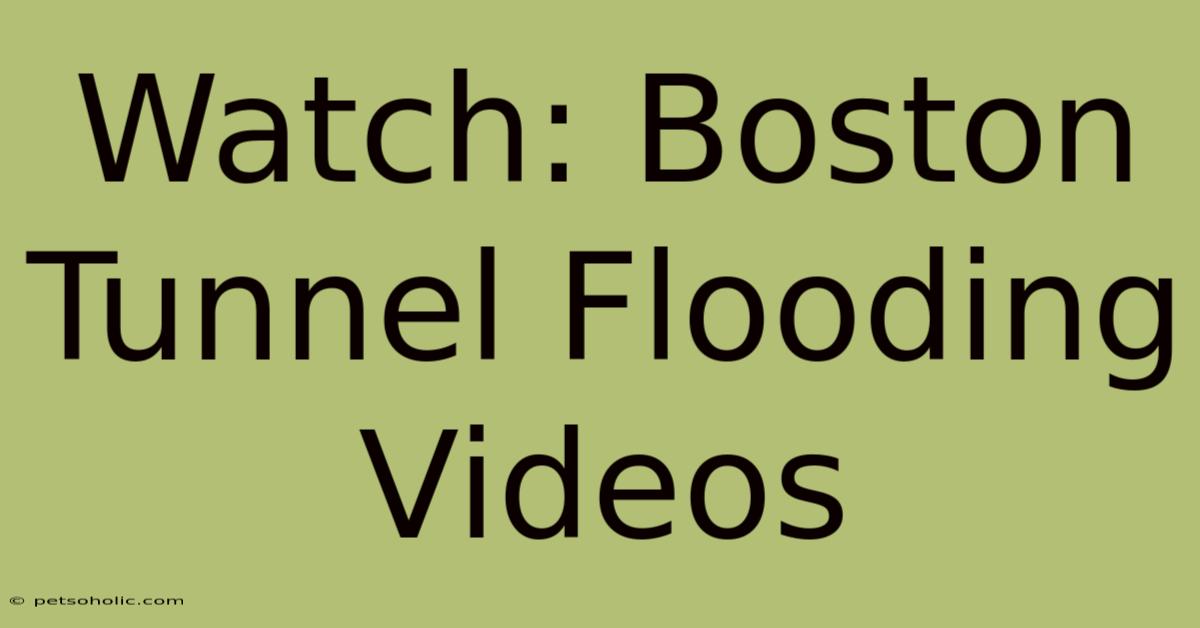 Watch: Boston Tunnel Flooding Videos